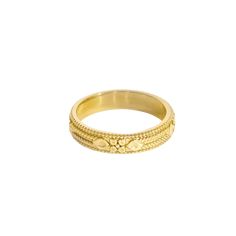 Alex Ring (7972737220876) Hey Harper, Pvd Coating, Chunky Rings, Ring Sale, Waterproof Jewelry, Jewelry Brand, Favorite Rings, Golden Color, Steel Jewelry