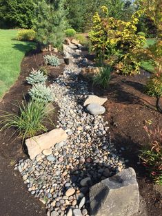 a garden with rocks and plants in the middle of it, along side a grassy area