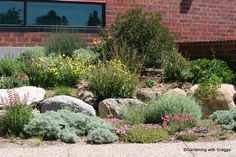 some very pretty flowers and rocks by a building