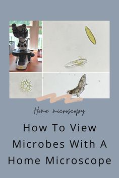 how to view microscopes with a home microscope