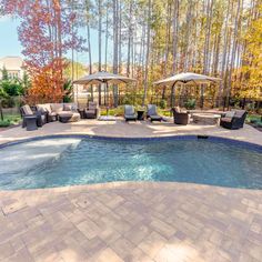 an empty swimming pool with lounge chairs and umbrellas in the background, surrounded by trees