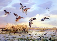 a flock of ducks flying over a body of water next to tall grass and reeds