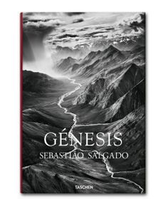 a book with the title genesi sebastato saggado written on it