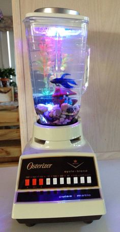 a blender filled with lots of different types of fish in it's display case