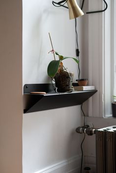 a shelf with a potted plant on it next to a radiator and lamp