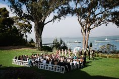 a group of people sitting on top of a lush green field next to the ocean