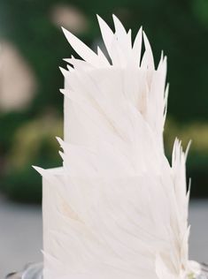 a wedding cake with white feathers on top