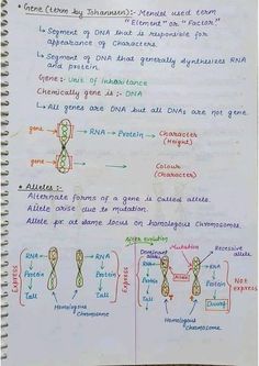 Chromosome and genetics biology Hand written Notes by best chemistry teacher Sir Asadullah Mastoi Science Tricks Student, Biology Tricks, Dna Notes, Biotechnology Notes