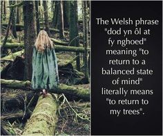 Welsh Phrases, Welsh Words, Wonderful Words, A Quote, In The Woods, Great Quotes, Beautiful Words, Cool Words, Words Quotes