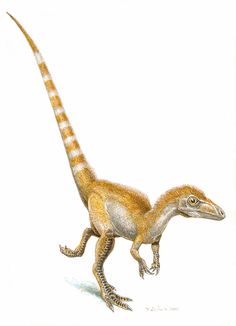 an image of a small dinosaur that is walking