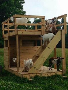 a wooden structure with goats and goats on it