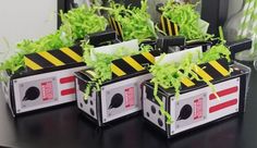 four boxes with plants growing out of them on a black table in front of a mirror