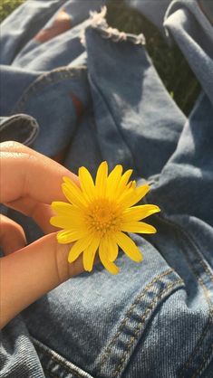 a person holding a yellow flower in their hand