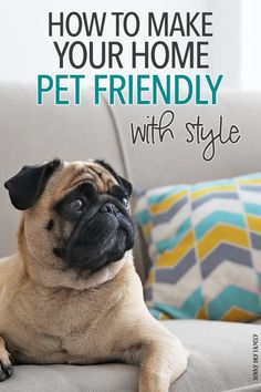 a pug dog sitting on top of a couch with the words how to make your home pet friendly with style