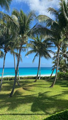 palm trees and the ocean are shown in this photo taken from an island side lawn