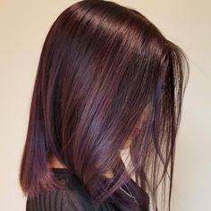 All Over Dark Burgundy Hair Color, Eggplant Brunette Hair, Swartzkopf Hair Color Formula, Chocolate Purple Hair, Violet Hair Highlights, Red Mahogany Hair Color, Dark Colored Hair, Mahogany Brown Hair Color, Mahogany Hair Color