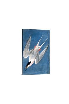 two white birds flying in the blue sky