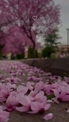 pink flowers laying on the ground in front of trees with hearts above them and an overcast sky