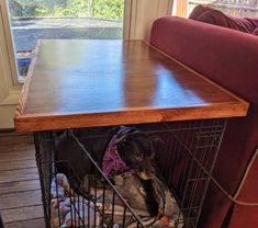 a dog in a cage under a table