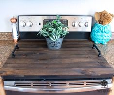 a potted plant sitting on top of an oven