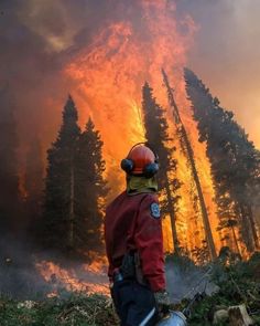 a firefighter standing in front of a forest filled with flames