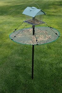 a bird feeder on top of a pole in the grass