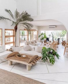 a living room filled with white furniture and lots of plants on the table in front of it