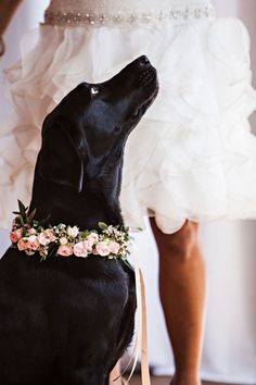 a black dog wearing a flower crown sitting next to a woman in a white dress