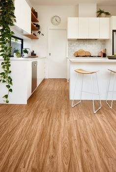 a kitchen with white cabinets and wooden floors is pictured in this image, there are two stools at the center of the room