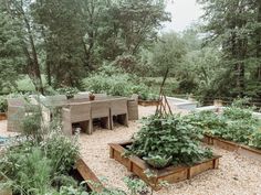 an outdoor garden area with various plants and wooden benches in the middle, surrounded by trees