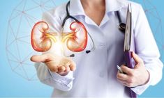 Urologist In Noida Doctor Shows, Healthy Kidneys, Kidney Damage, Medical Tourism, Body Organs, Our Body, Disease, Thailand