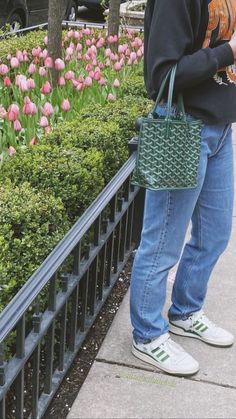 Mini Anjou Goyard Outfit, Goyard Pattern, Lux Purse, Boston Aesthetic, Dream Bags, Handbag Essentials, Green Purse