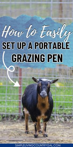 a goat with the words how to easily set up a portable grazing pen