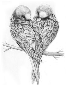 two birds sitting on top of a branch with their heads touching each other's beaks