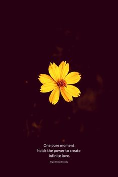 a yellow flower with the quote one pure moment holds the power to create infinite love