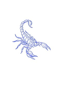 a drawing of a scorpion on a white background