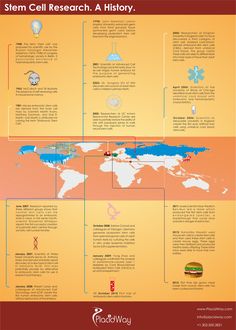 history-of-stem-cell-research-infographic #infographic #stemcell #health Essay Outline, Marketing Automation, Alzheimers, Inbound Marketing, Data Visualization, Marketing Digital