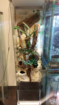 an aquarium with plants growing out of the water and rocks in it's bottom shelf