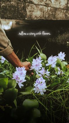 a man is picking up flowers from the ground with his hand and writing on it