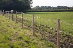 a fence in the middle of a grassy field