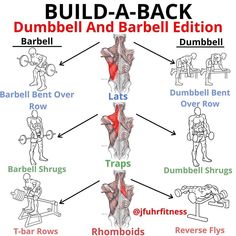 Back Workout Men, King Warrior, Traps Workout, Gym Antrenmanları, Muscle Abdominal, Gym Workout Chart, Gym Workouts For Men