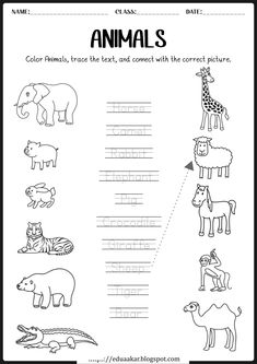 an animal worksheet for kids