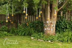 a tree with yellow flowers hanging from it's trunk in a yard next to a fence