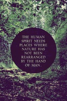 the human spirit needs places where nature has not been reapped by the hand of man