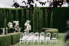 an outdoor wedding setup with white chairs and flowers in the center, surrounded by hedges