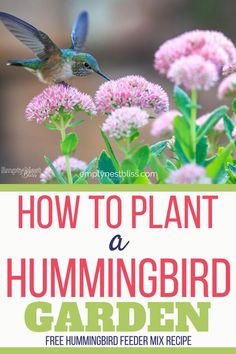 a hummingbird flying over pink flowers with the words how to plant a hummingbird garden