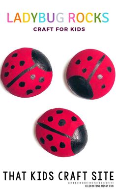 three ladybug rocks with the words that kids craft site