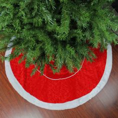 a green plant sitting on top of a wooden floor next to a red and white rug