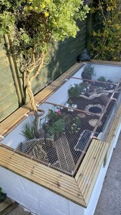 an outdoor garden area with plants and fencing