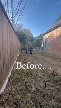 the back yard before and after it has been mowed with grass growing on top